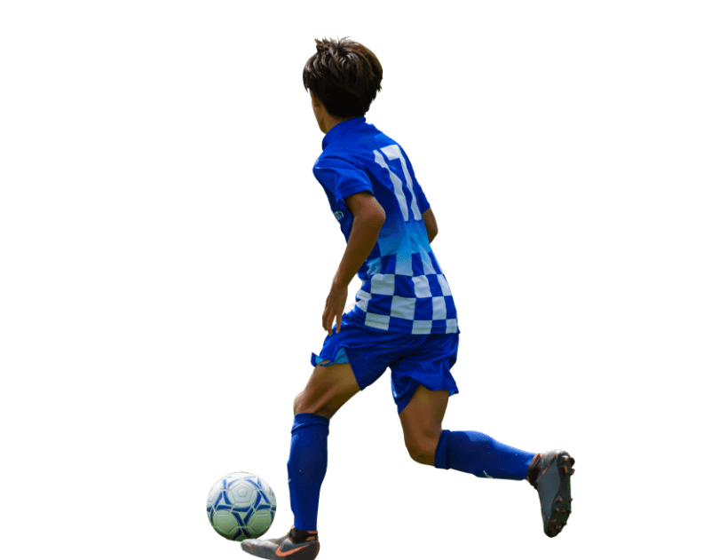 選手のデータを一元管理できるタレントマネジメントシステム。